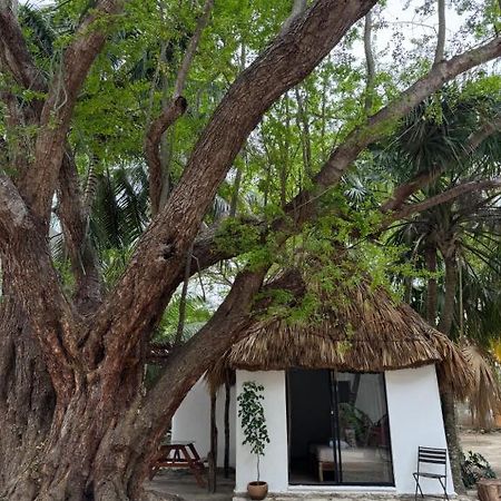 Cabanas Camping Ria Celestun Exterior foto