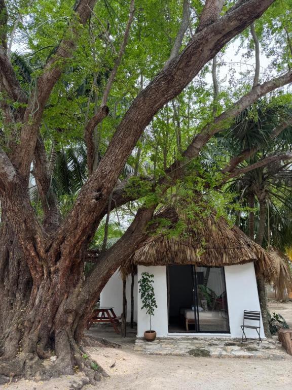 Cabanas Camping Ria Celestun Exterior foto